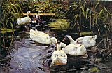 Alexander Koester Canvas Paintings - Enten auf einem Schilfteich